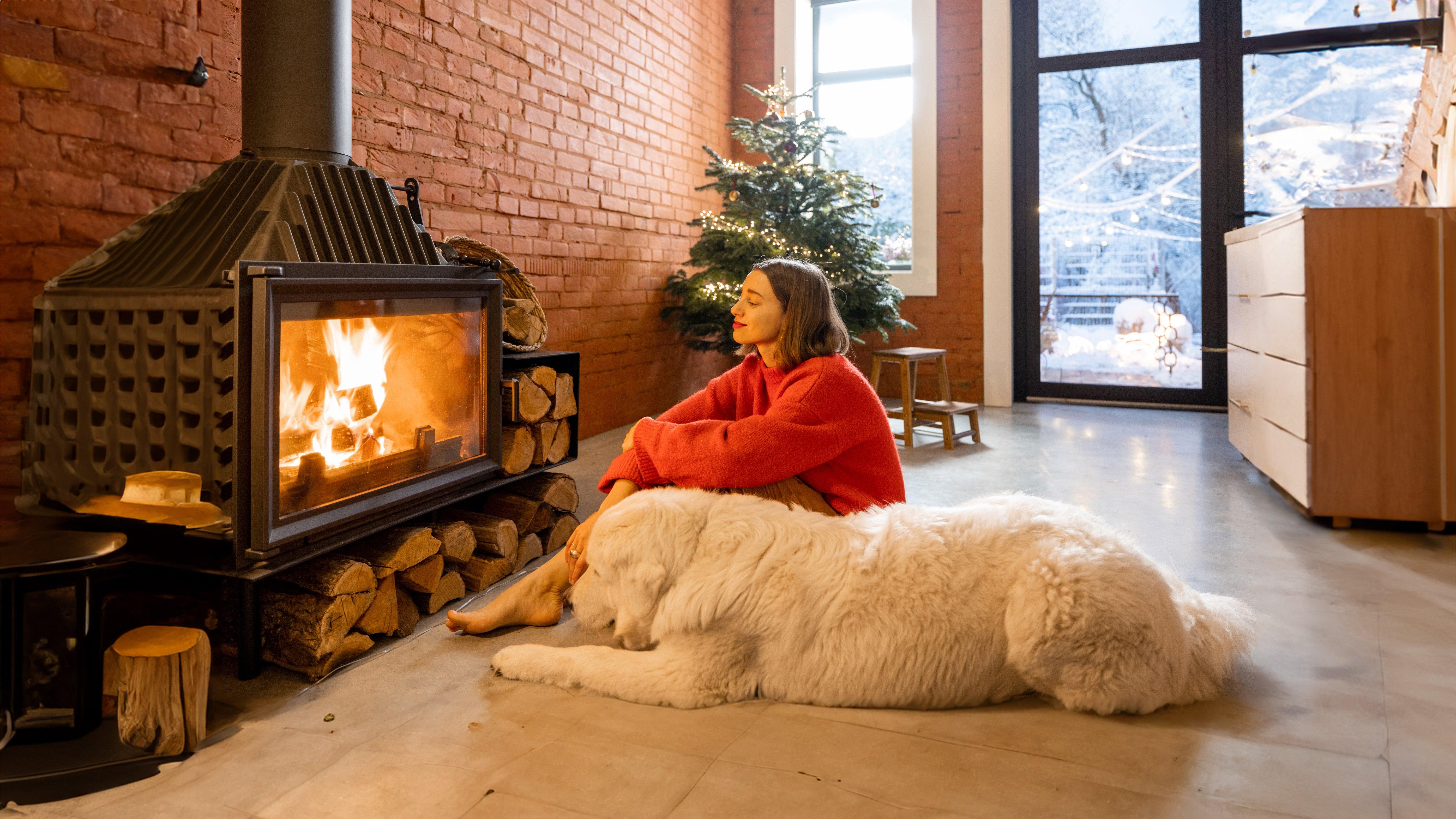 Dziewczyna w czerwonym swetrze przy kominku w nowoczesnym salonie z białym psem i choinką