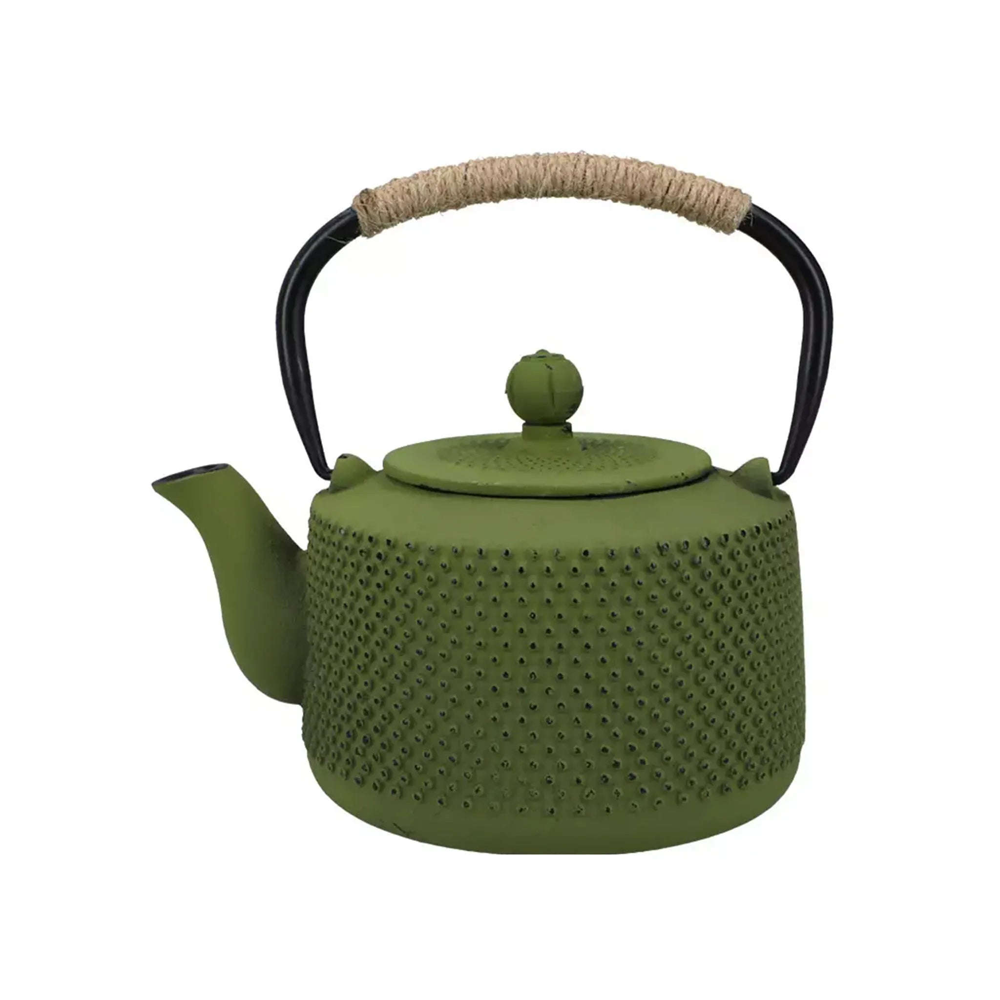 Bouilloire japonaise en fonte Tetsubin verte (1000 ml)